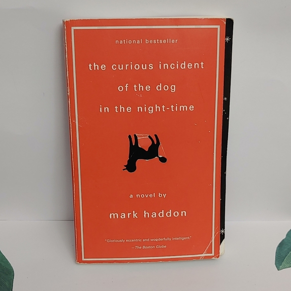 Other - The Dog in The Night Time Book